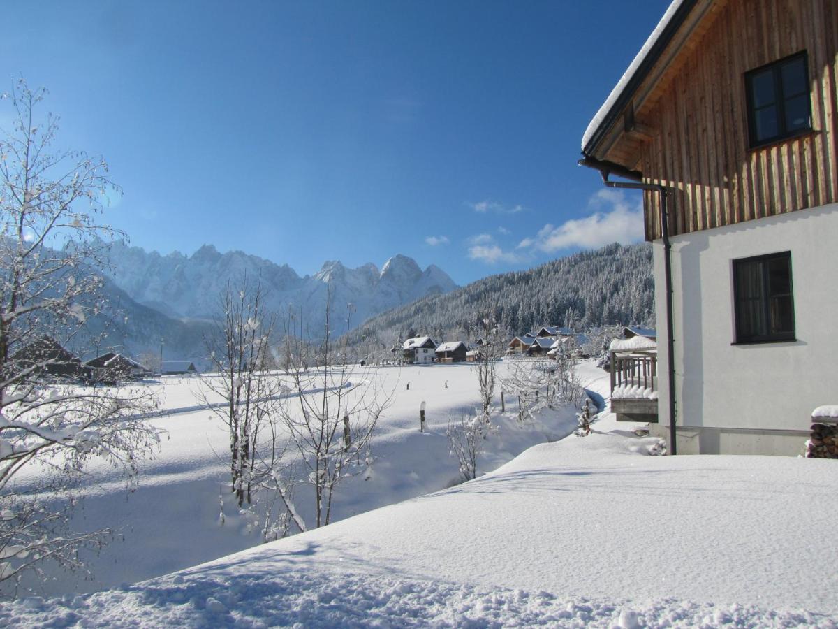 Appartements gosaukamm.com Gosau Exterior foto